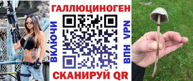 цена   Киренск  Псилоцибиновые грибы прущие грибы 